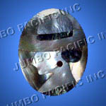 Shell brooches crafted in frame design