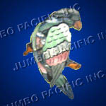 Shell brooches crafted in parrot design