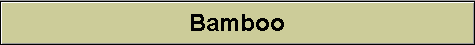 Bamboo